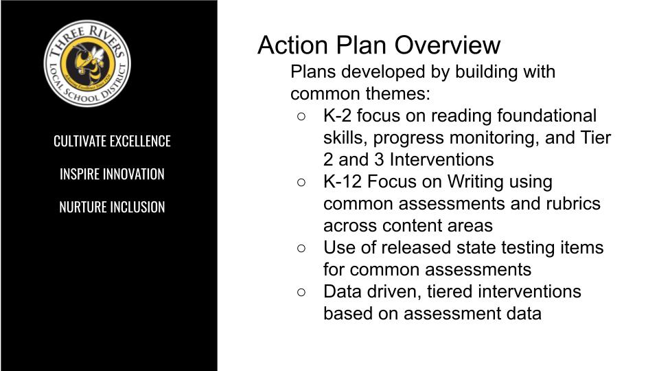 Literacy Plan - Action Plan Overview